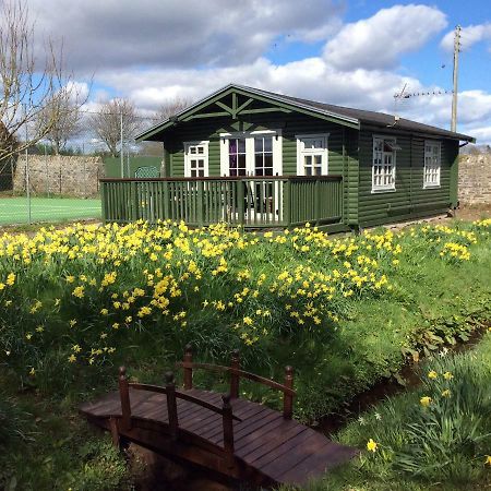 Garden Studio For Two Villa Doune Exterior photo